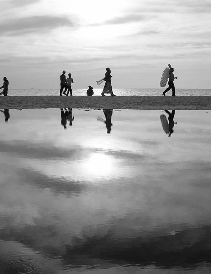 Experience - Coconut tree